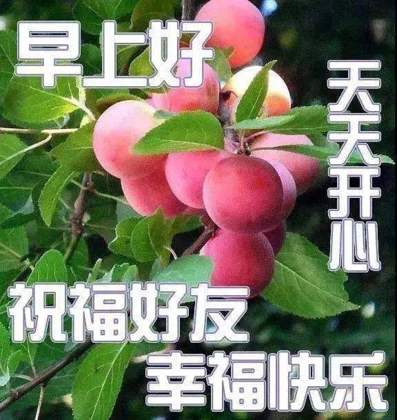 潞安煤矿考试系统主页：简单朴素却承载满满回忆，答题过程如初恋般紧张刺激