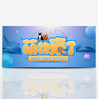 猫咪淘宝可群发软件：轻松分享萌宠瞬间，让爱心传递
