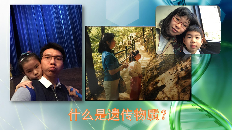神经系统组成 结构图_神经系统结构图简笔画_神经构造