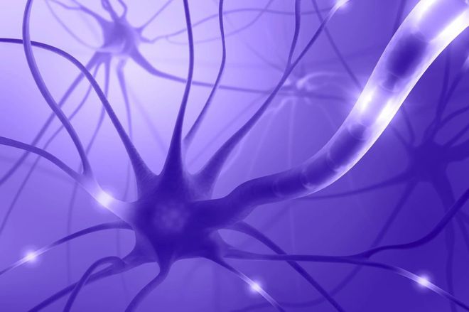 数学心算法_印度数学算数_风靡全球的心算法——印度式数学速算
