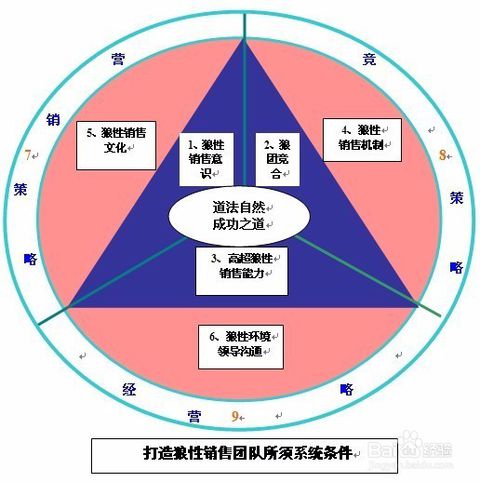 人才管理平台：让小团队焕发新生活力的秘密武器