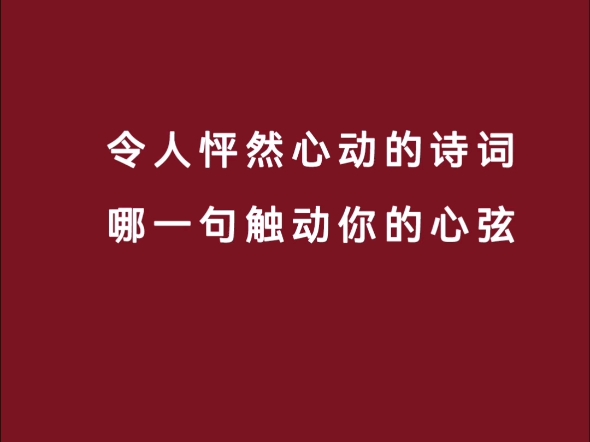 妲己娘娘软件：美轮美奂的设计，别出心裁的玩法，触动心弦的体验
