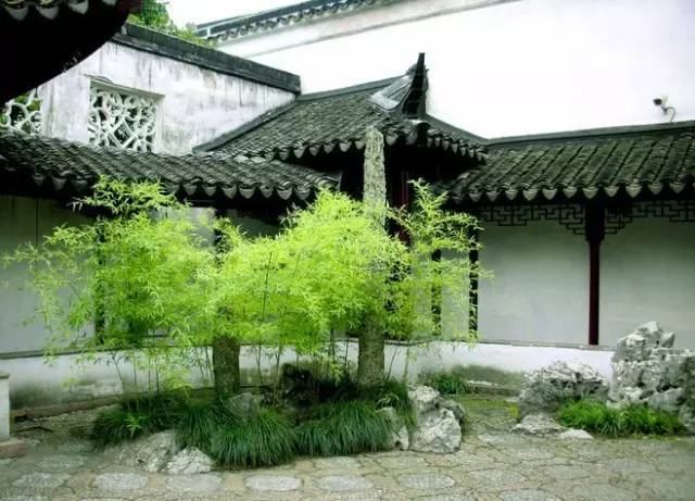 bolt界面引擎 源码-Bolt 界面引擎源码：程序员的神秘宝箱，藏着无数小秘密