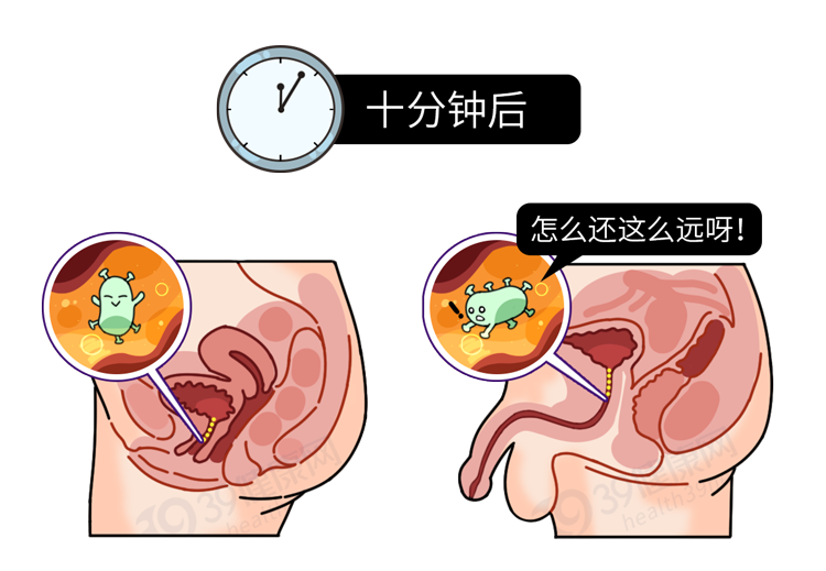泌尿系统组成器官-泌尿系统：身体下水道的超级英雄，你了解多少？