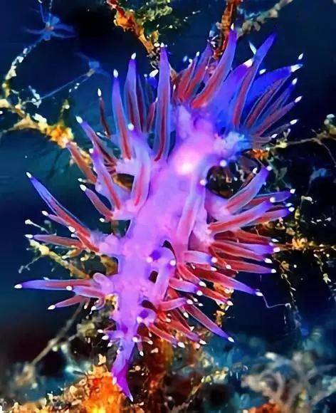 原形系统：科技深海中的神秘生物，塑造日常生活的每一个角落
