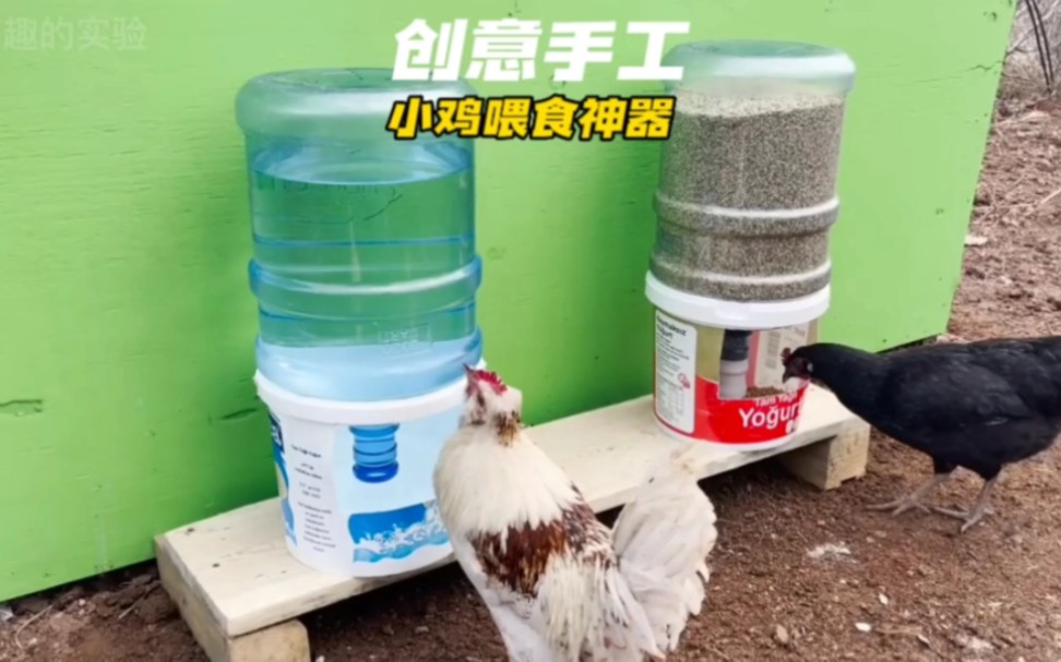 禽用养殖设备_禽类养殖设备_禽养殖设备用什么材料