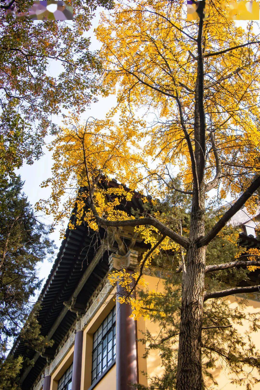 系统工程 教材-系统工程教材：见证学子努力与汗水的神秘之书
