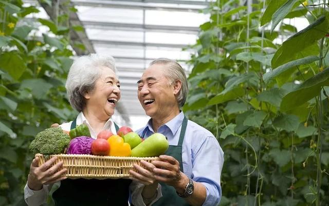 探索企业生态系统理论：与生活息息相关的复杂网络