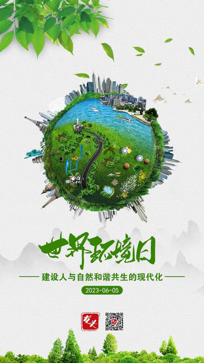 生态案例分析ppt_案例生态理论分析系统包括_生态系统理论案例分析