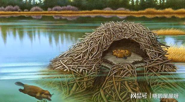 volterra系统_系统软件erp_系统之名养成器女主公玉月