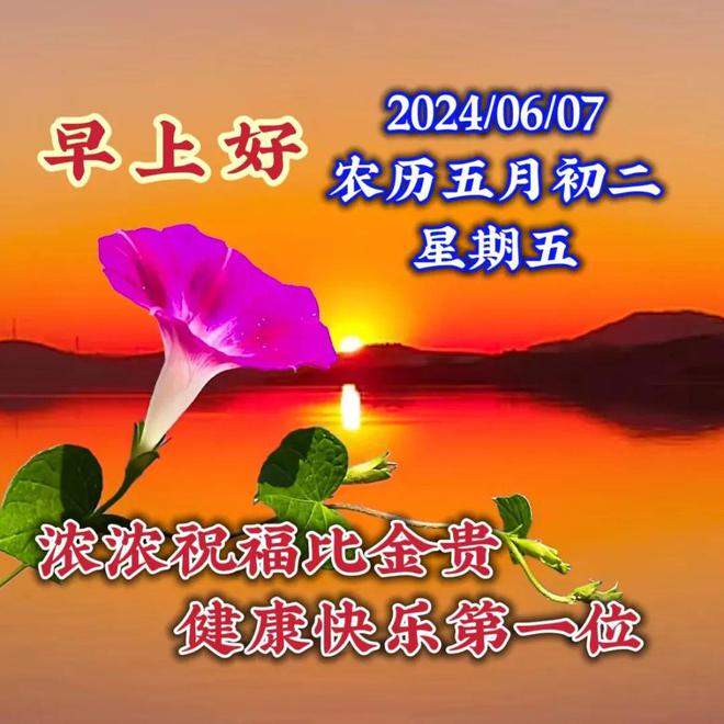 少妇交友微信平台-微信交友：少妇们在忙碌中寻找心灵慰藉的故事
