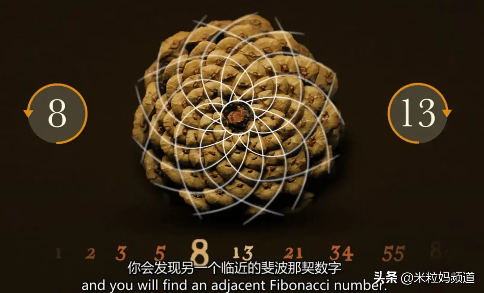 张量投票算法是什么-张量投票算法：从科幻小说到现实应用的神奇数学工具