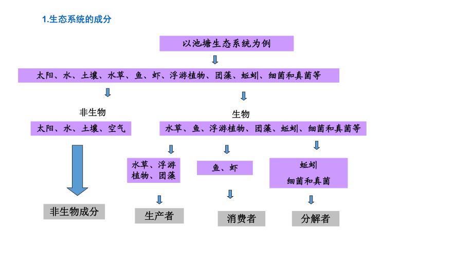 动物是生态系统结构_生态系统中的结构_动物的生态系统