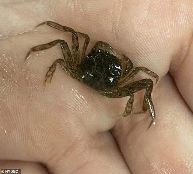 短信骚扰器泛滥成灾，如何才能有效防范？