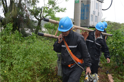 温州台风路径实时发布系统：老百姓的贴心小棉袄，24 小时守护你的安全