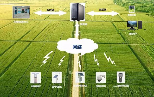 覆盖算法的分类_典型覆盖算法_wsn覆盖算法