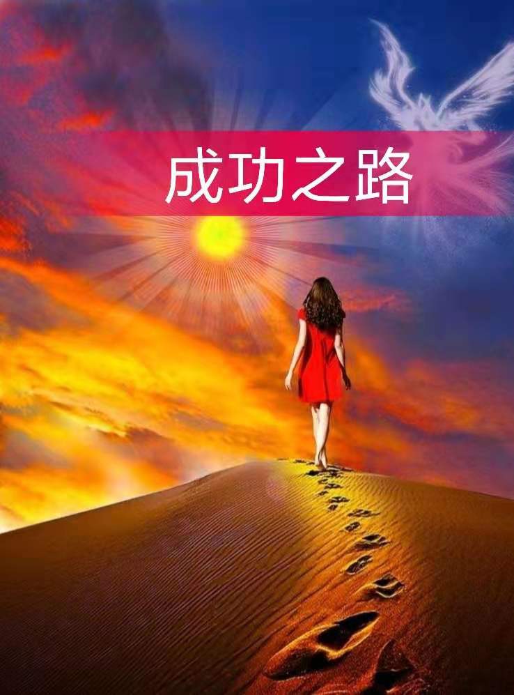 财务设计系统有哪些_财务系统设计_财务系统设计方案