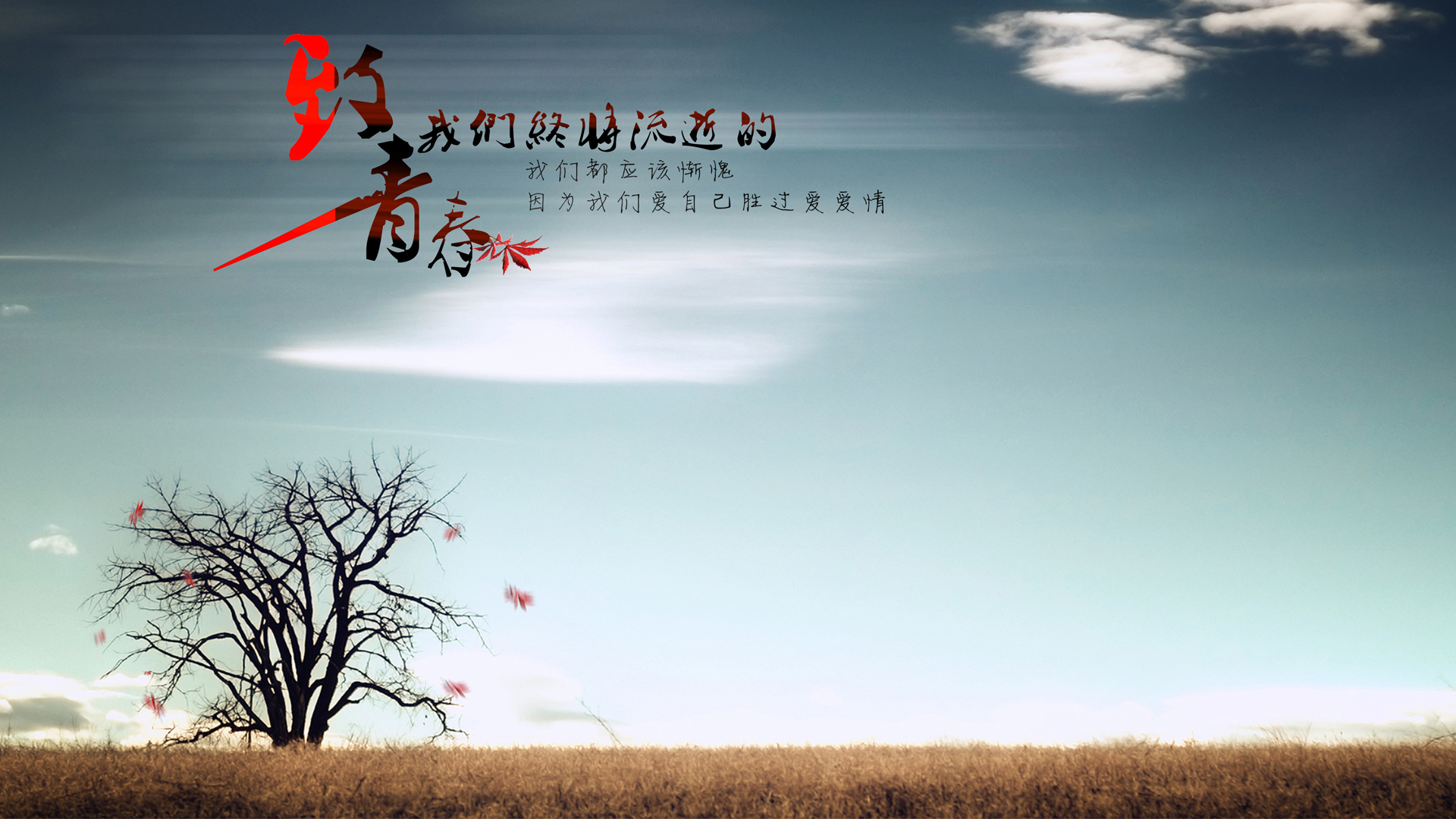 qq空间静态界面-QQ 空间静态界面：简单设计承载青春记忆，见证成长与情感交流