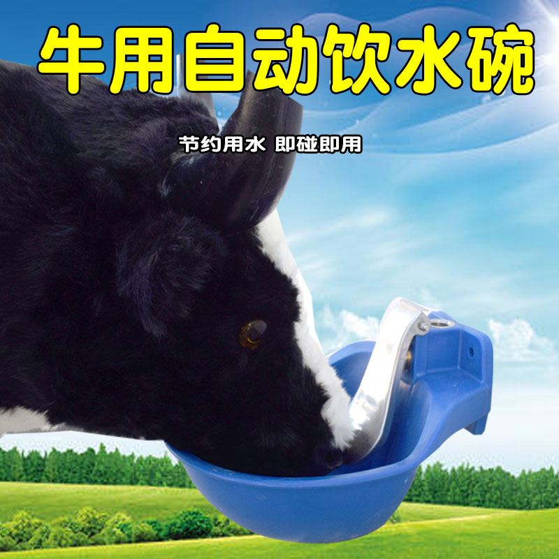 黄牛养殖喝水设备开关_养牛场牛喝水的新型设计_养牛自动饮水器视频