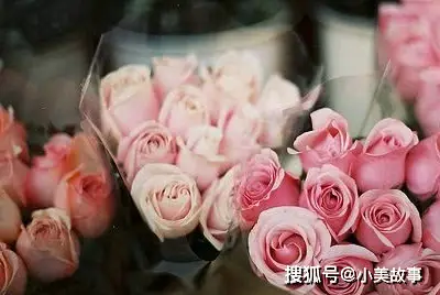 惠州学院教务系统：让人又爱又恨的小调皮