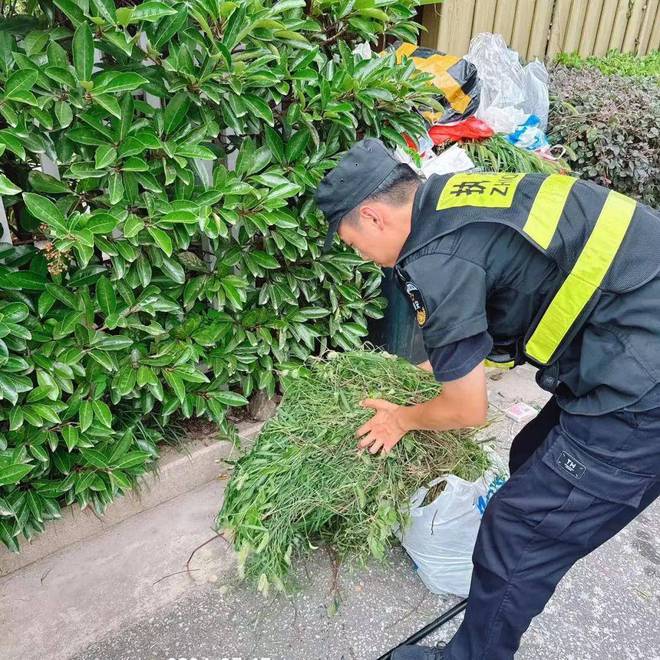 军格污水提升器_污水提升器和潜污泵的区别_污水提升器分防水和不防水吗