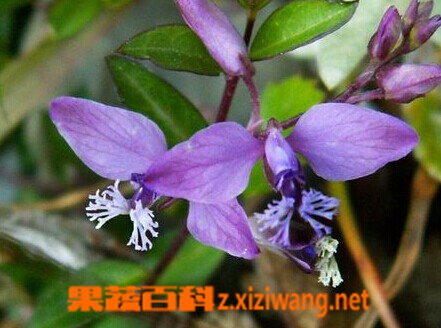 灭火装置控制水系统包括_水灭火系统控制装置_灭火系统控制装置包括