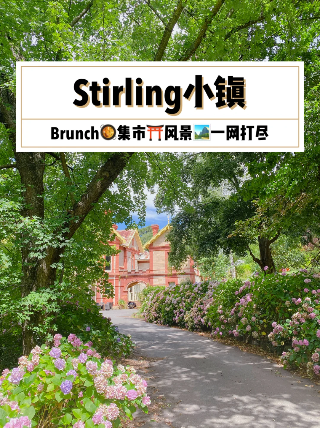 金山屯信息平台：小镇宝藏，让声音被听见，温暖互动的数字家园