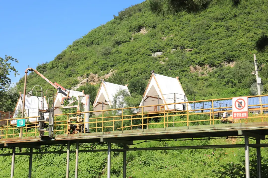 金山屯信息平台_金山屯吧_金山屯信息网