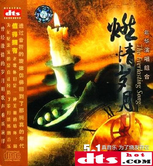系统集成公司的激情岁月：项目背后的挑战与成就