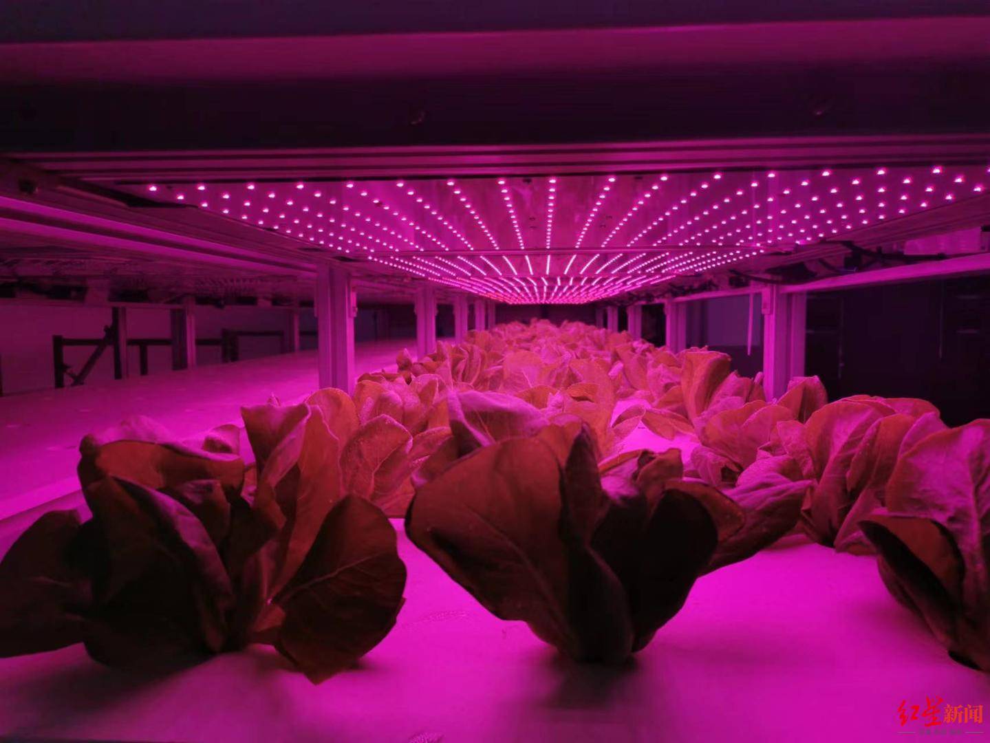 电磁屏蔽设施_屏蔽电磁室设备有哪些_电磁屏蔽室设备