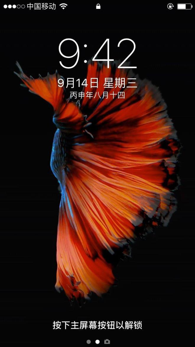 iphone删除系统app_苹果ios10系统软件删除_苹果最新系统删除软件