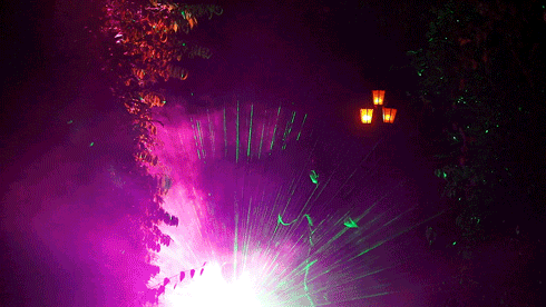 3d音频 软件-3D 音频软件：让你置身魔法音乐森林，享受身临其境的娱乐体验