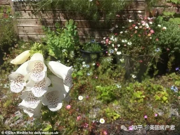 金立gn600系统升级-金立 GN600 系统升级：手机界的小革命，让你的手机焕然一新