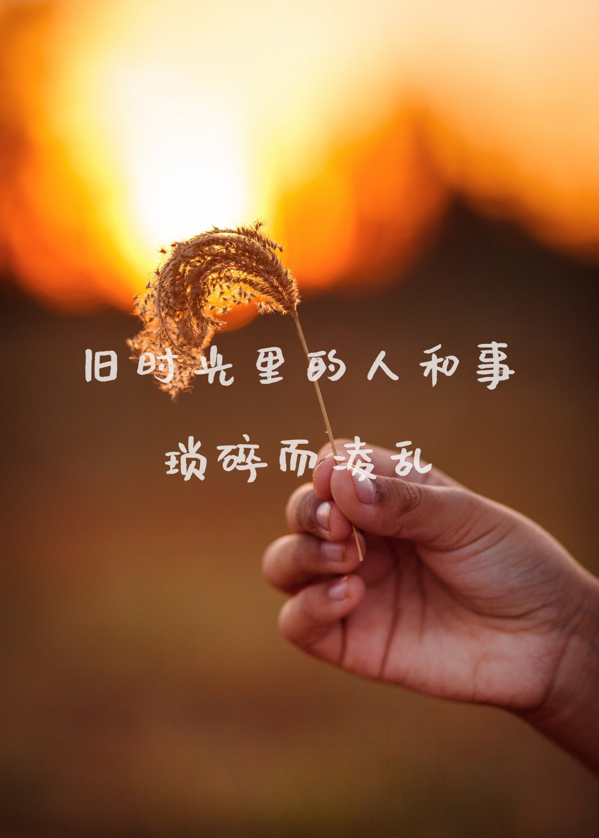 做照片的软件带文字的_照片做文字的手机软件_照片文字制作软件