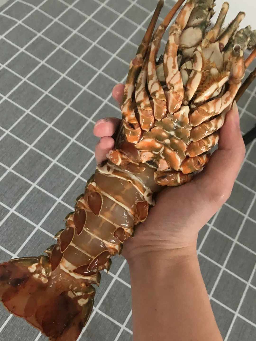 车险第三方平台选择指南：从忐忑到放心的理赔体验