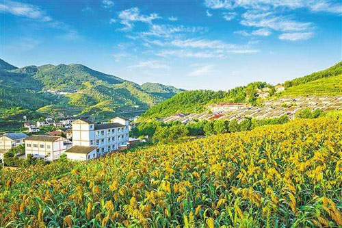 中国硬件发展：从山寨到骄傲，从国内到国际的辉煌崛起