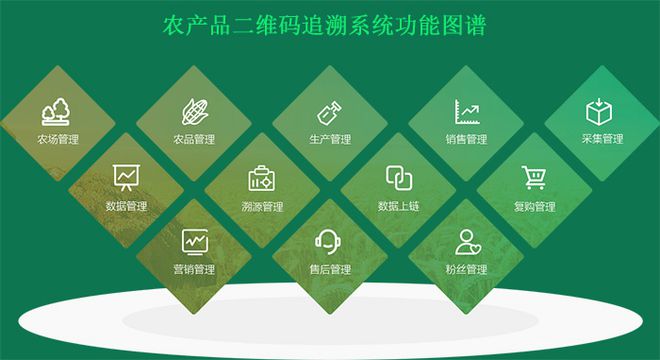 探秘文件柜里的小秘密：质量保证体系文件如何守护产品质量