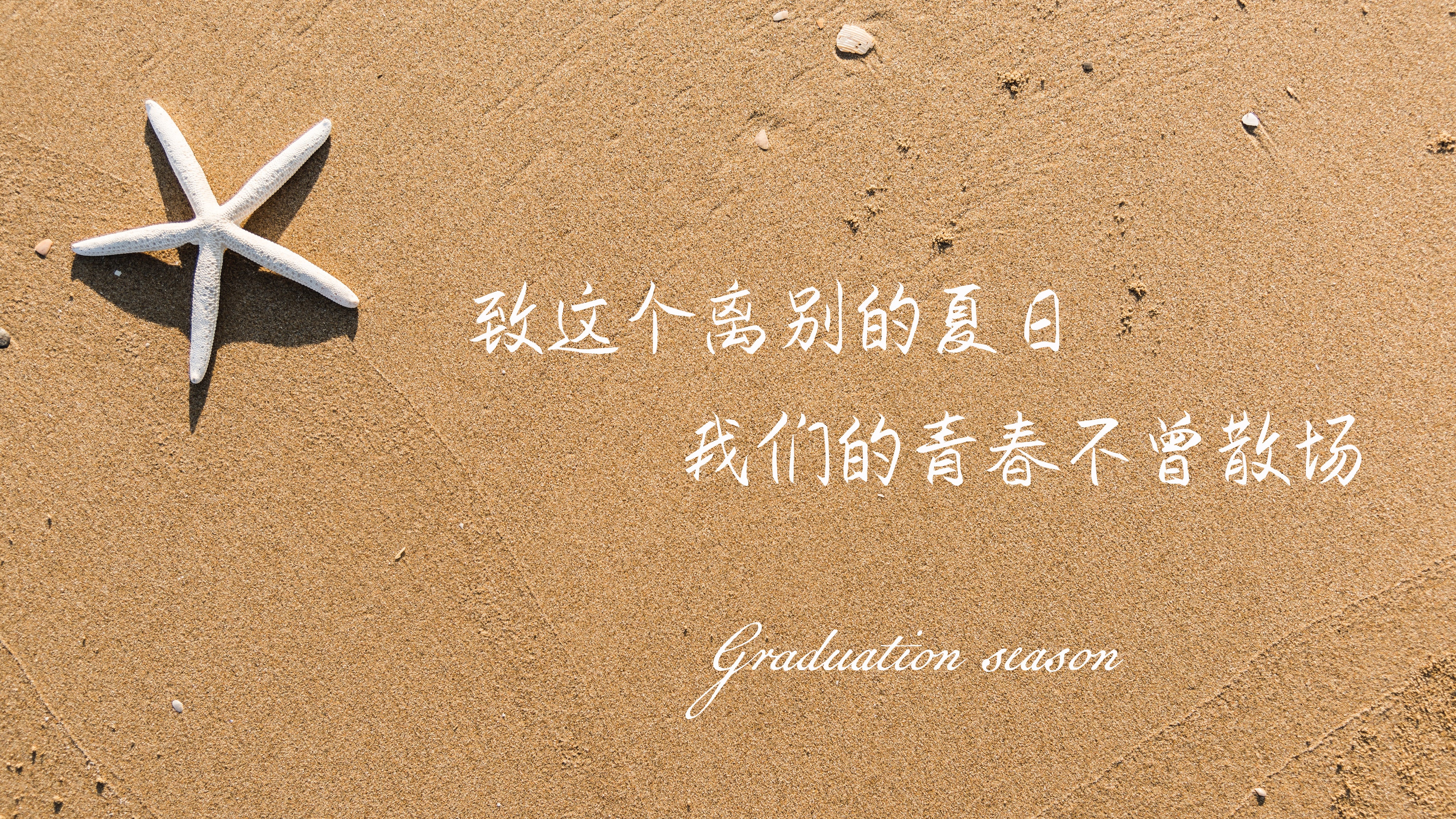 xp系统开始左侧-怀念经典！XP 系统的开始按钮，承载了多少人的青春记忆