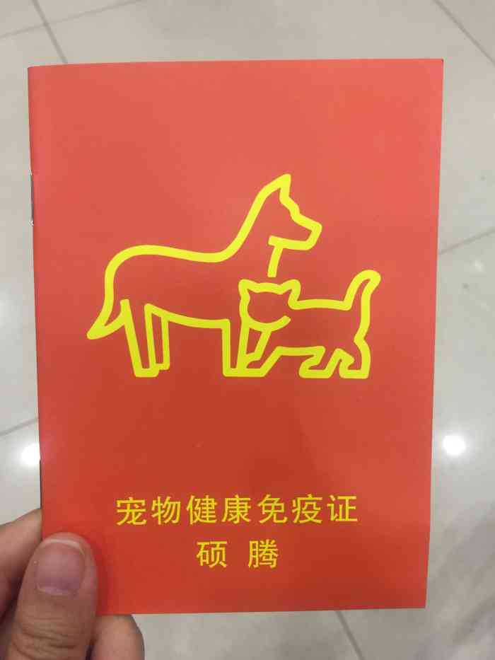 北斗导航定位终端：科技时代的忠实伙伴，助你探索未知世界