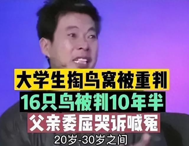 台清环保科技有限公司_清债公司找中证公司_清理平台类公司