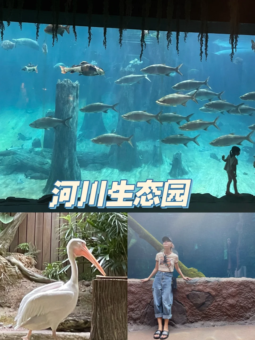 snake模型算法与c-v模型算法的区别_算法和模型的关系_算法模型的定义