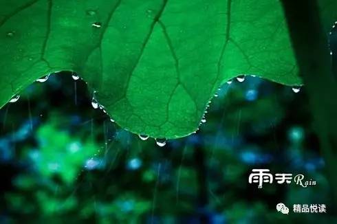 百器徒然袋 : 雨_百器徒然袋 : 雨_百器徒然袋 : 雨