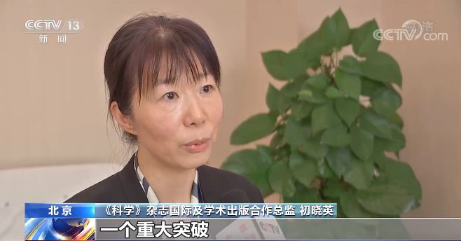 淀粉应用_淀粉类别和应用_淀粉设备有什么关键词