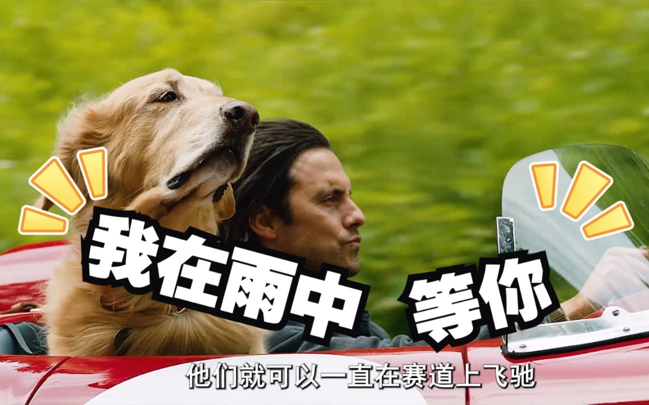 2021最新电影软件免费观看_电影最新免费软件看片_免费最新看电影的软件