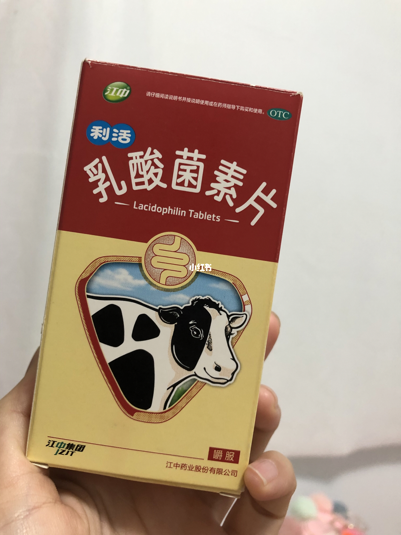 懒人之乡土系统-懒人之乡：被懒惰塑造的世界，土系统与生活方式的完美融合