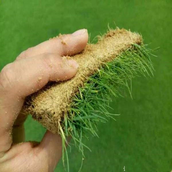 保温门卷帘设备厂家_保温门卷帘设备有哪些_77保温卷帘门设备