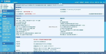 B2B网站系统,构建高效电子商务平台的基石