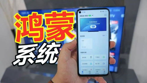 华为是否是安卓系统,安卓生态的重要参与者与鸿蒙系统的创新探索