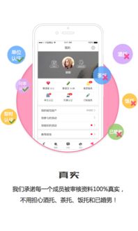 爱青实安卓系统,功能与特色深度解析