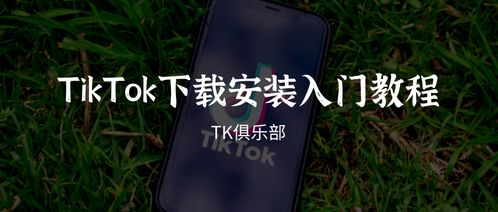 安卓系统怎么下载tk,TikTok（海外抖音）下载全攻略